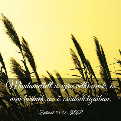 Picture 03 - Zsoltárok 78:32 KAR - Mindamellett is újra vétkezének, és nem - Bible Verse Picture