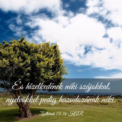 Picture 03 - Zsoltárok 78:36 KAR - És hízelkedének néki szájokkal, nyelvökkel - Bible Verse Picture
