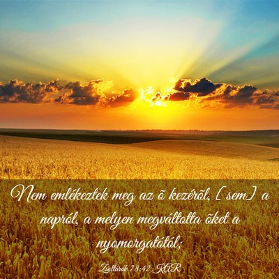 Picture 03 - Zsoltárok 78:42 KAR - Nem emlékeztek meg az õ kezérõl, [sem] a - Bible Verse Picture