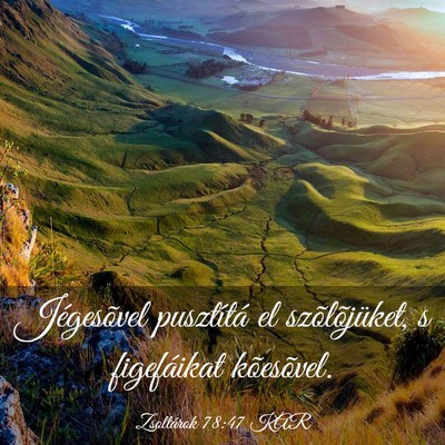 Picture 03 - Zsoltárok 78:47 KAR - Jégesõvel pusztítá el szõlõjüket, s - Bible Verse Picture
