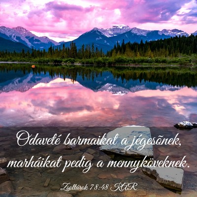Picture 03 - Zsoltárok 78:48 KAR - Odaveté barmaikat a jégesõnek, marháikat - Bible Verse Picture