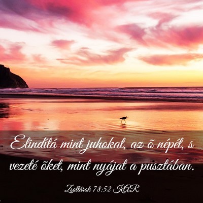 Picture 03 - Zsoltárok 78:52 KAR - Elindítá mint juhokat, az õ népét, s vezeté - Bible Verse Picture