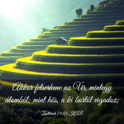 Picture 03 - Zsoltárok 78:65 KAR - Akkor felserkene az Úr, mintegy álomból; mint - Bible Verse Picture