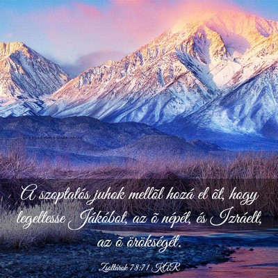 Picture 03 - Zsoltárok 78:71 KAR - A szoptatós juhok mellõl hozá el õt, hogy - Bible Verse Picture