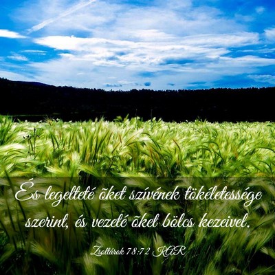 Picture 03 - Zsoltárok 78:72 KAR - És legelteté õket szívének tökéletessége - Bible Verse Picture