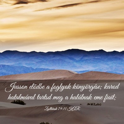 Picture 03 - Zsoltárok 79:11 KAR - Jusson elõdbe a foglyok könyörgése; karod - Bible Verse Picture