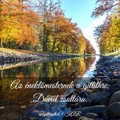 Picture 03 - Zsoltárok 8:1 KAR - Az éneklõmesternek a gittithre; Dávid - Bible Verse Picture