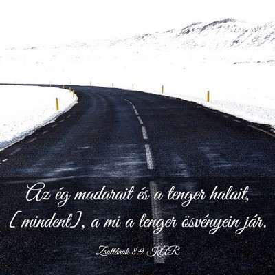 Picture 03 - Zsoltárok 8:9 KAR - Az ég madarait és a tenger halait, [mindent], a - Bible Verse Picture
