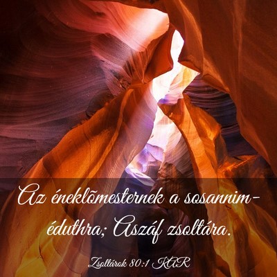 Picture 03 - Zsoltárok 80:1 KAR - Az éneklõmesternek a sosannim-éduthra; Aszáf - Bible Verse Picture