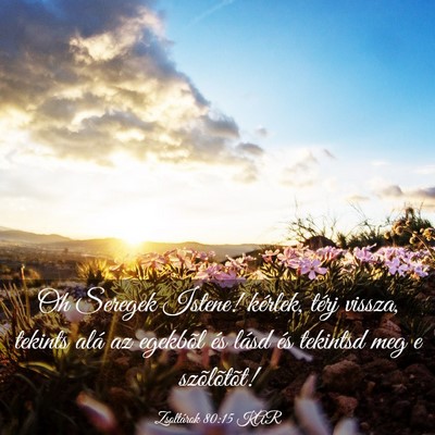 Picture 03 - Zsoltárok 80:15 KAR - Oh Seregek Istene! kérlek, térj vissza, tekints - Bible Verse Picture