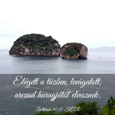 Picture 03 - Zsoltárok 80:17 KAR - Elégett a tûzben, levágatott; arczod - Bible Verse Picture