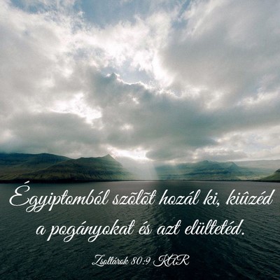 Picture 03 - Zsoltárok 80:9 KAR - Égyiptomból szõlõt hozál ki, kiûzéd a - Bible Verse Picture