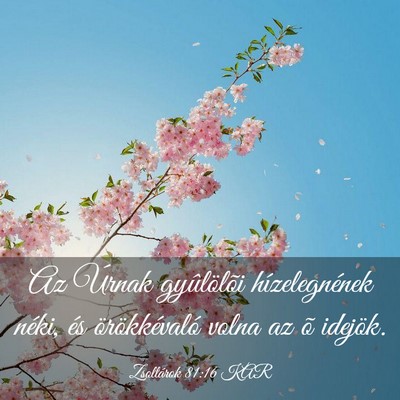 Picture 03 - Zsoltárok 81:16 KAR - Az Úrnak gyûlölõi hízelegnének néki, és - Bible Verse Picture