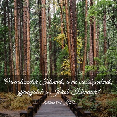 Picture 03 - Zsoltárok 81:2 KAR - Örvendezzetek Istennek, a mi erõsségünknek; - Bible Verse Picture