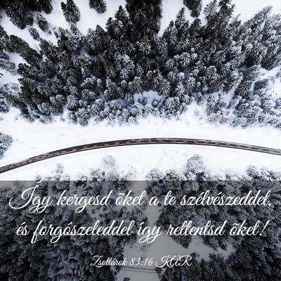 Picture 03 - Zsoltárok 83:16 KAR - Így kergesd õket a te szélvészeddel, és - Bible Verse Picture