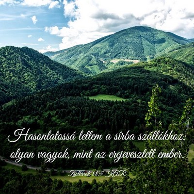 Picture 03 - Zsoltárok 88:5 KAR - Hasonlatossá lettem a sírba szállókhoz; olyan - Bible Verse Picture