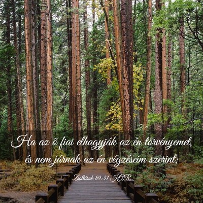 Picture 03 - Zsoltárok 89:31 KAR - Ha az õ fiai elhagyják az én törvényemet, - Bible Verse Picture