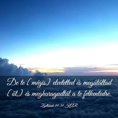 Picture 03 - Zsoltárok 89:39 KAR - De te [mégis] elvetetted és megútáltad [õt,] - Bible Verse Picture