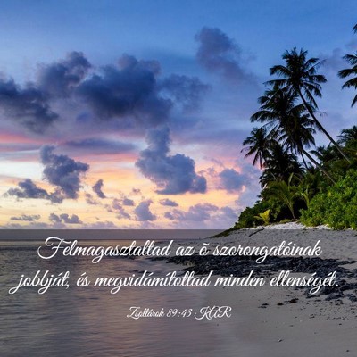 Picture 03 - Zsoltárok 89:43 KAR - Felmagasztaltad az õ szorongatóinak jobbját, - Bible Verse Picture