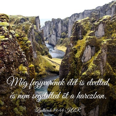 Picture 03 - Zsoltárok 89:44 KAR - Még fegyverének élét is elvetted, és nem - Bible Verse Picture