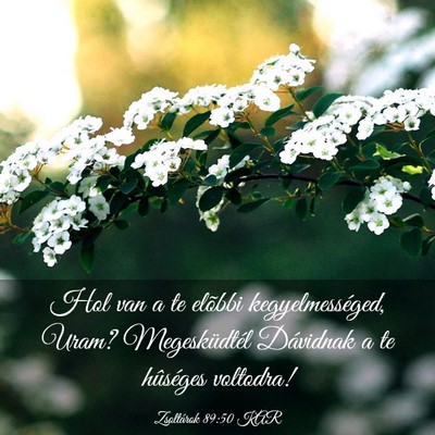 Picture 03 - Zsoltárok 89:50 KAR - Hol van a te elõbbi kegyelmességed, Uram? - Bible Verse Picture
