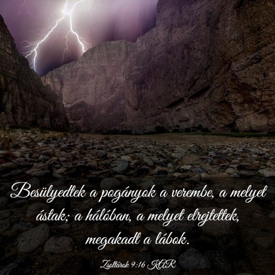 Picture 03 - Zsoltárok 9:16 KAR - Besülyedtek a pogányok a verembe, a melyet - Bible Verse Picture