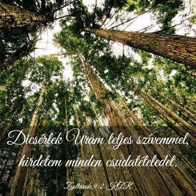 Picture 03 - Zsoltárok 9:2 KAR - Dicsérlek Uram teljes szívemmel, hirdetem - Bible Verse Picture