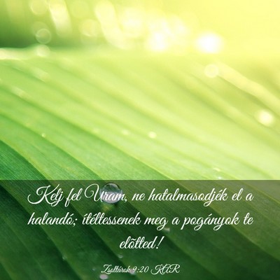 Picture 03 - Zsoltárok 9:20 KAR - Kelj fel Uram, ne hatalmasodjék el a halandó; - Bible Verse Picture