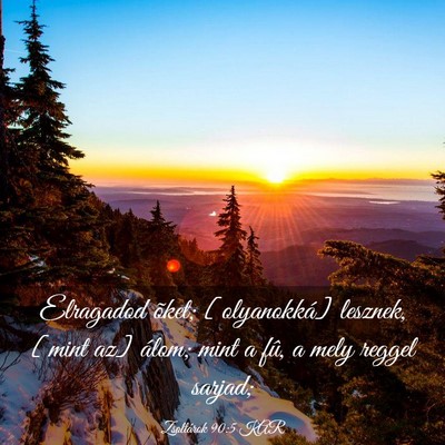Picture 03 - Zsoltárok 90:5 KAR - Elragadod õket; [olyanokká] lesznek, [mint az] - Bible Verse Picture