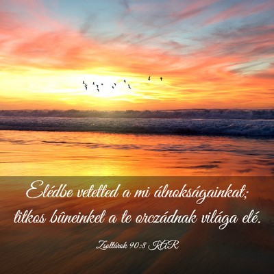 Picture 03 - Zsoltárok 90:8 KAR - Elédbe vetetted a mi álnokságainkat; titkos - Bible Verse Picture