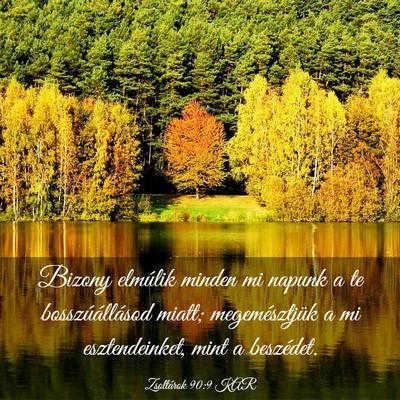 Picture 03 - Zsoltárok 90:9 KAR - Bizony elmúlik minden mi napunk a te - Bible Verse Picture