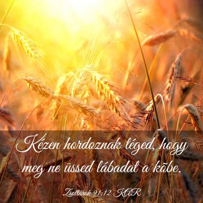 Picture 03 - Zsoltárok 91:12 KAR - Kézen hordoznak téged, hogy meg ne üssed - Bible Verse Picture