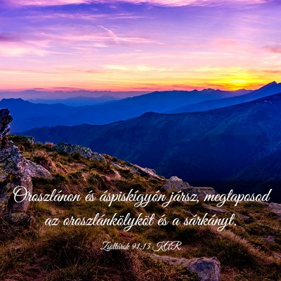 Picture 03 - Zsoltárok 91:13 KAR - Oroszlánon és áspiskígyón jársz, megtaposod - Bible Verse Picture