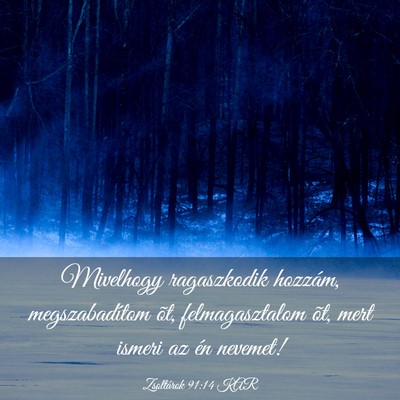 Picture 03 - Zsoltárok 91:14 KAR - Mivelhogy ragaszkodik hozzám, megszabadítom - Bible Verse Picture