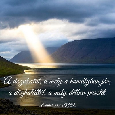 Picture 03 - Zsoltárok 91:6 KAR - A dögvésztõl, a mely a homályban jár; a - Bible Verse Picture