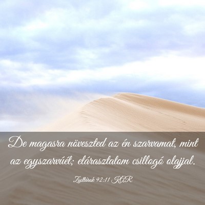 Picture 03 - Zsoltárok 92:11 KAR - De magasra növeszted az én szarvamat, mint az - Bible Verse Picture