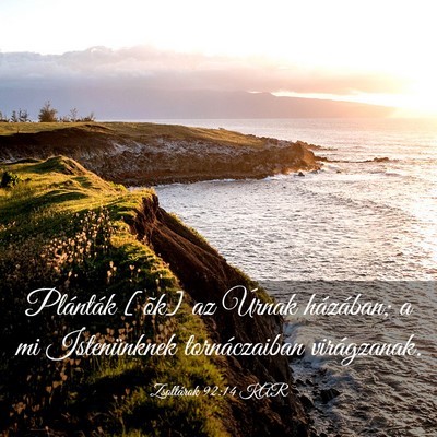 Picture 03 - Zsoltárok 92:14 KAR - Plánták [õk] az Úrnak házában; a mi - Bible Verse Picture
