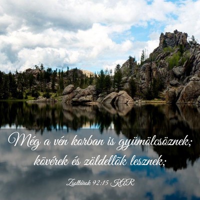 Picture 03 - Zsoltárok 92:15 KAR - Még a vén korban is gyümölcsöznek; kövérek - Bible Verse Picture