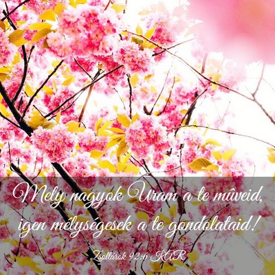 Picture 03 - Zsoltárok 92:6 KAR - Mely nagyok Uram a te mûveid, igen mélységesek - Bible Verse Picture