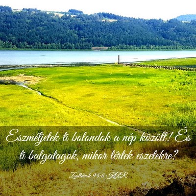 Picture 03 - Zsoltárok 94:8 KAR - Eszméljetek ti bolondok a nép között! És ti - Bible Verse Picture