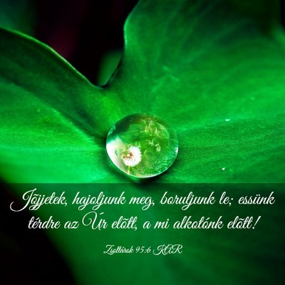 Picture 03 - Zsoltárok 95:6 KAR - Jõjjetek, hajoljunk meg, boruljunk le; essünk - Bible Verse Picture