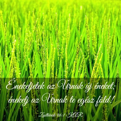 Picture 03 - Zsoltárok 96:1 KAR - Énekeljetek az Úrnak új éneket; énekelj az - Bible Verse Picture