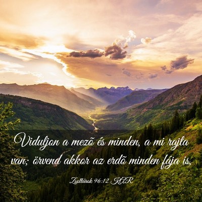 Picture 03 - Zsoltárok 96:12 KAR - Viduljon a mezõ és minden, a mi rajta van; - Bible Verse Picture