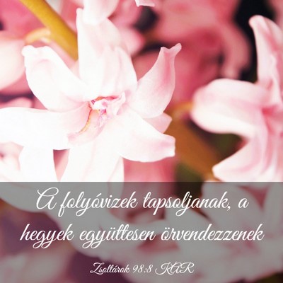 Picture 03 - Zsoltárok 98:8 KAR - A folyóvizek tapsoljanak, a hegyek együttesen - Bible Verse Picture