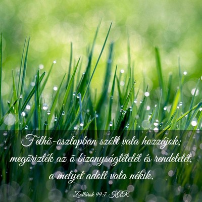 Picture 03 - Zsoltárok 99:7 KAR - Felhõ-oszlopban szólt vala hozzájok; - Bible Verse Picture