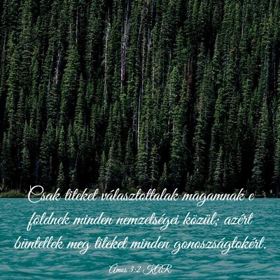 Picture 03 - Ámos 3:2 KAR - Csak titeket választottalak magamnak e földnek - Bible Verse Picture