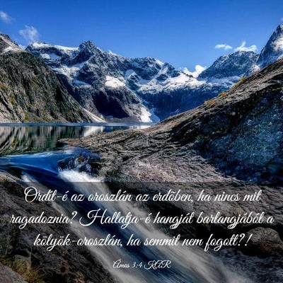 Picture 03 - Ámos 3:4 KAR - Ordít-é az oroszlán az erdõben, ha nincs mit - Bible Verse Picture