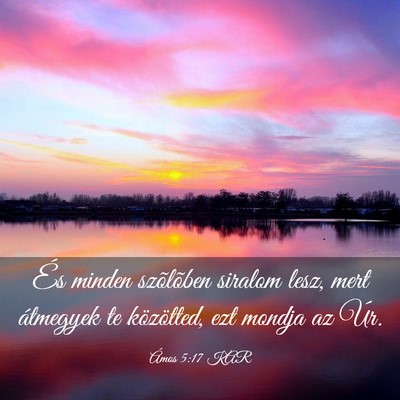 Picture 03 - Ámos 5:17 KAR - És minden szõlõben siralom lesz, mert - Bible Verse Picture