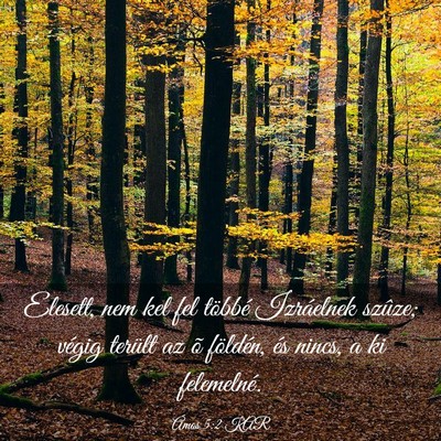 Picture 03 - Ámos 5:2 KAR - Elesett, nem kel fel többé Izráelnek szûze; - Bible Verse Picture