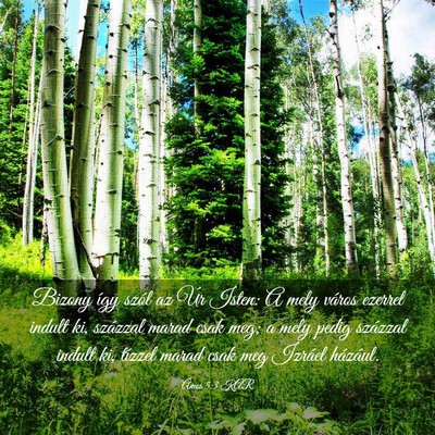 Picture 03 - Ámos 5:3 KAR - Bizony így szól az Úr Isten: A mely város - Bible Verse Picture